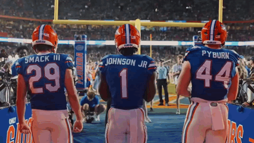 Group Of Football Players Including Johnson Jr GIF