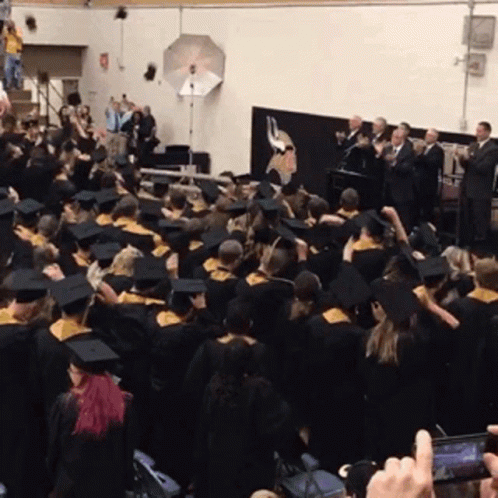 Group Of Graduates In Gowns And Caps GIF