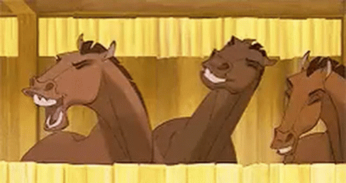 Group Of Horses Standing In Stable GIF