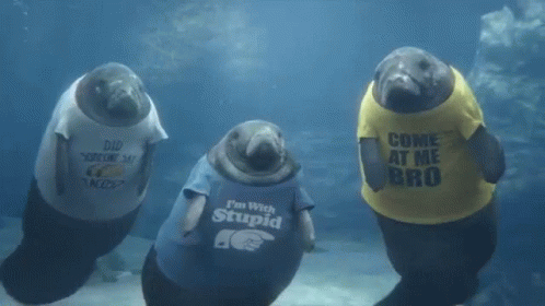 Group Of Manatee Wearing Shirts GIF