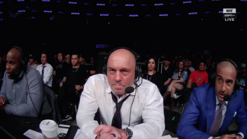 Group of Men Watching UFC Fight on ESPN