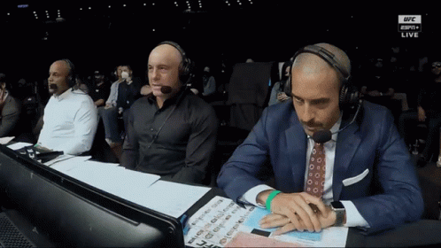 Group Of Men Watching UFC Live On Monitor