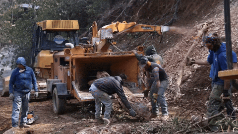 Group Of Men Working To Make Mulch GIF
