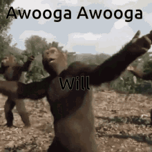 Group Of Monkey Performing Awooga Dance GIF