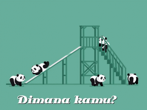 Group of Panda Bears on a Slide Dimana Kamu