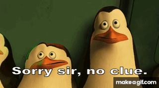 Group of Penguins Saying Sorry Sir No Clue