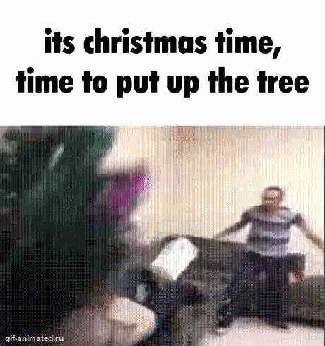 Group of People Around Christmas Tree