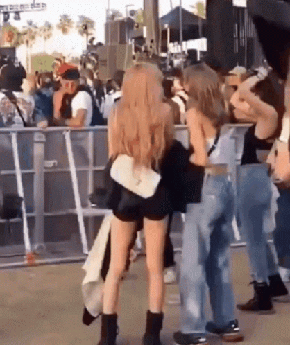 Group Of People At Concert GIF