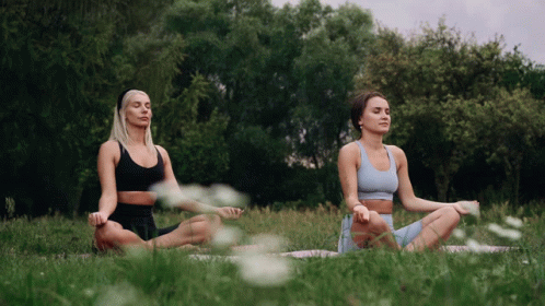 Group of People Doing Yoga