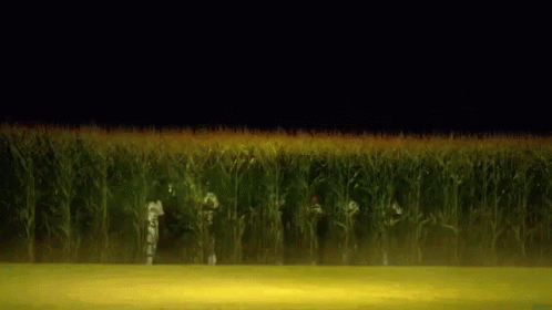 Group Of People In Corn Field At Night GIF
