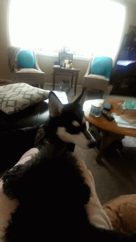 Group Of People In Room With Gifrun.com GIF