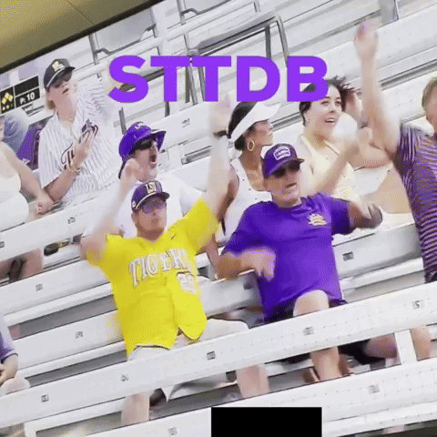 Group of People in Stadium with STTDB