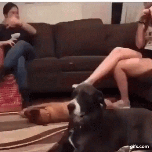 Group of People on Couch with Dog