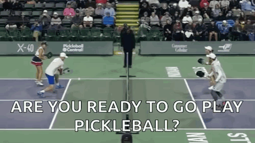 Group of People Playing Pickleball