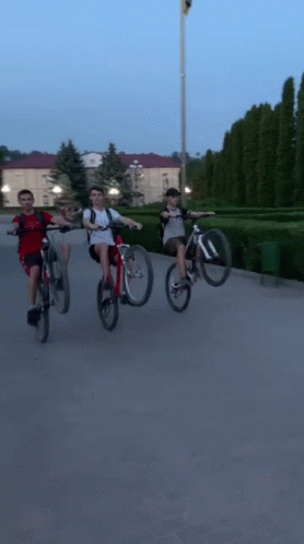 Group of People Riding Bicycles on Street