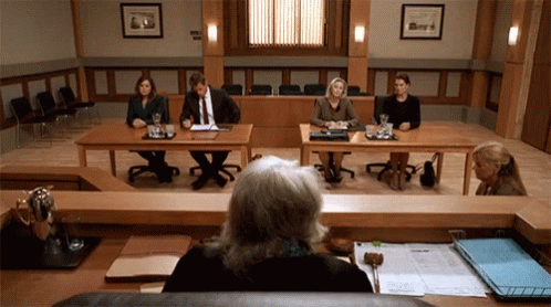 Group Of People Sitting In Court Room GIF