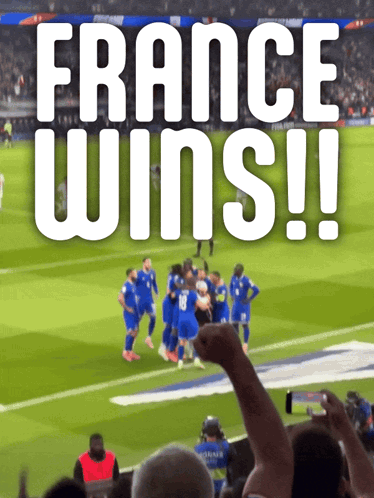 Group of Soccer Players Celebrating France Wins