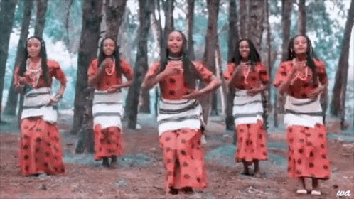 Group Of Women Dancing In Woods GIF