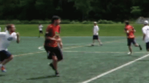 Group Playing Frisbee On Field GIF