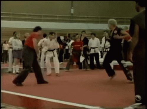 Group Practicing Martial Arts On Red Mat GIF