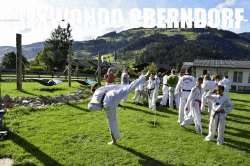 Group Practicing Taekwondo Oberndorf GIF