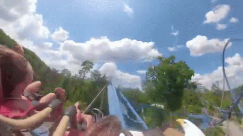 Group Riding Roller Coaster on Sunny Day