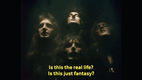 Group Saying Is This the Real Life Is This Just Fantasy