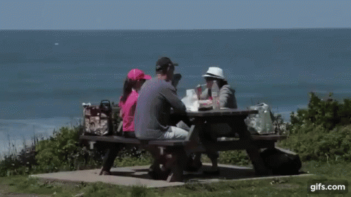 Group Sitting At Picnic Table Near Ocean GIF