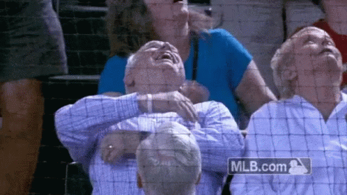 Group Sitting in Stadium With MLB.com Logo