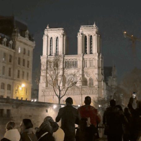 Group Standing In Front Of Notre Dame Building GIF