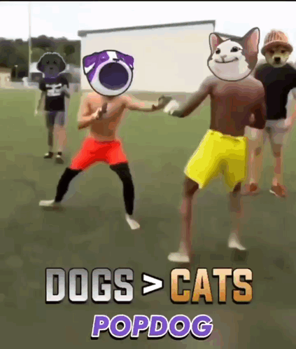 Group Standing On Field With Dogs And Cats On Heads GIF
