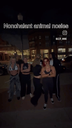 Group Standing on Sidewalk With Dolphin Saying Nonchalant Animal Noises