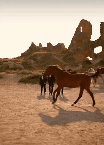 Group Walking Behind Brown Horse GIF