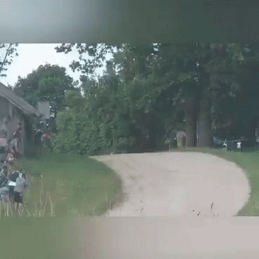 Group Walking on Dirt Road in Woods