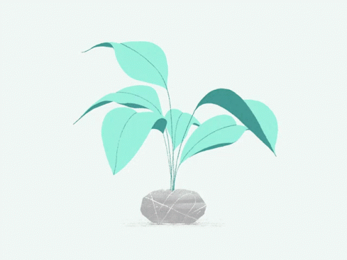 Growing Alegria Motion Plant GIF