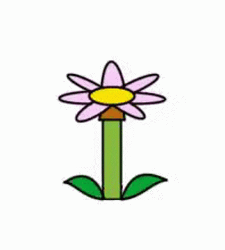 Growing Animated Flower GIF