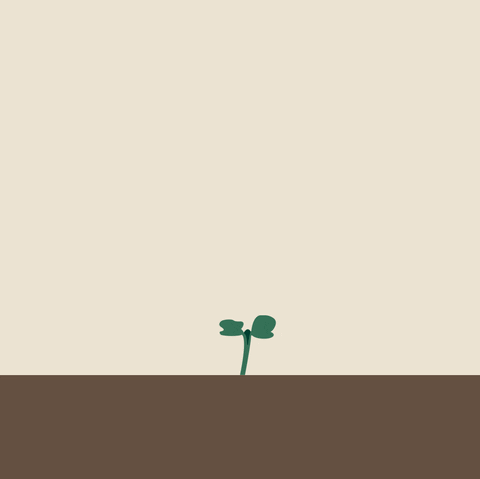 Growing Bush Plant Cartoon GIF