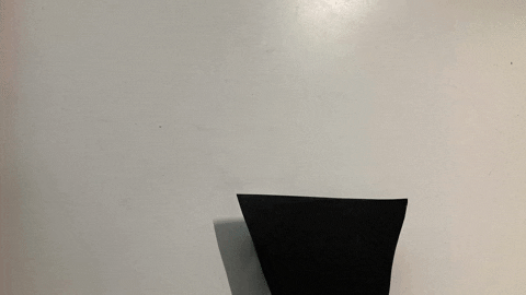 Growing Cactus Plant Artwork GIF