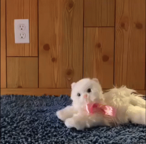 Growing Head Of Toy Cat GIF