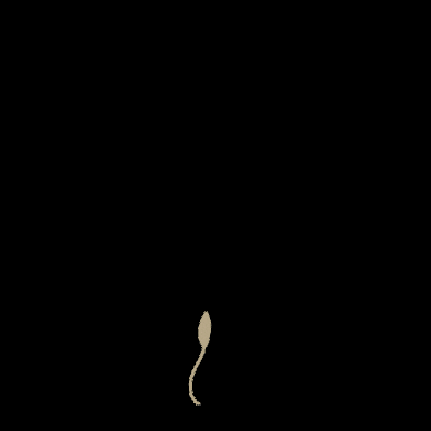Growing Plant Minimalist Digital Art GIF