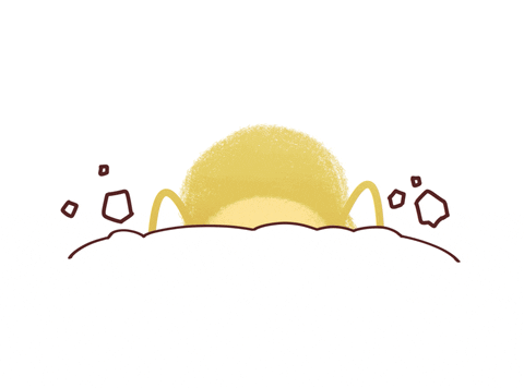 Growing Plant Peanut Seed Peeking Animation GIF