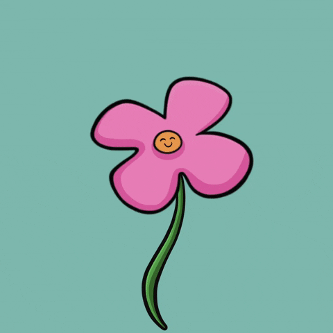 Growing Plant Reverse Growth Animation GIF