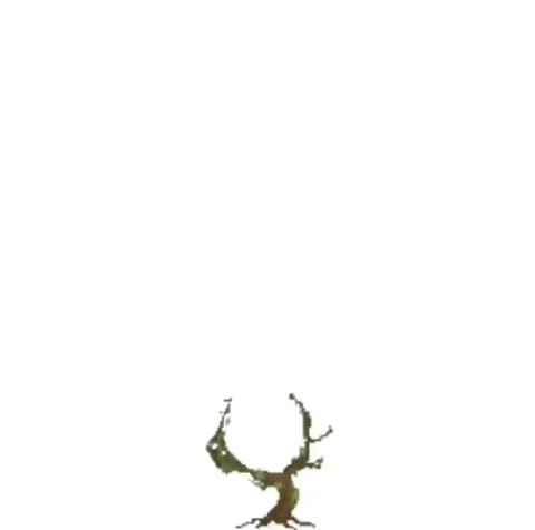 Growing Plant Save The World Wreath GIF