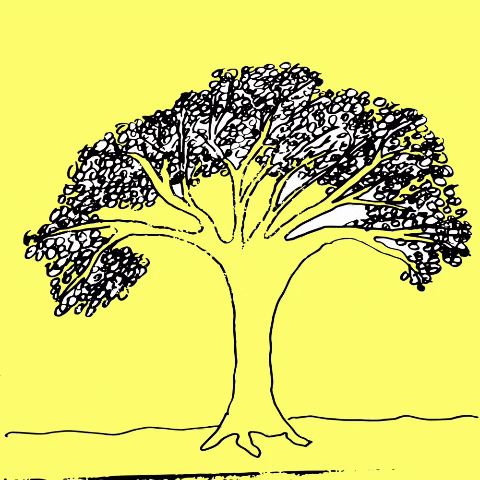 Growing Tree Plant Amazing Illustration GIF