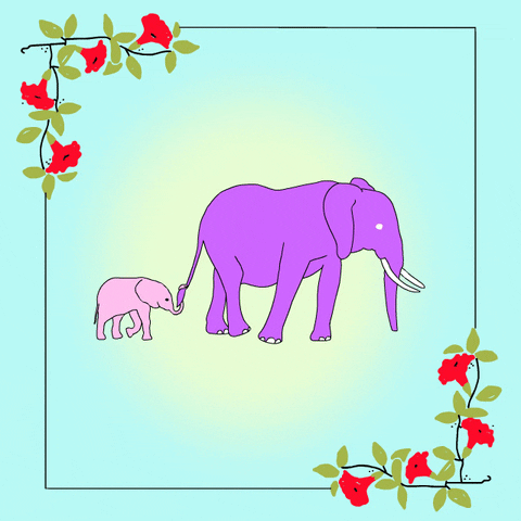 Grown Up Happy Birthday Daughter Mother Elephant GIF