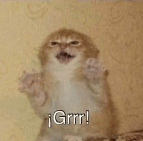 Grr Angry Kitten GIF