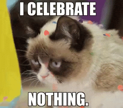 Grump Cat Celebrate Nothing Work Anniversary Meme GIF