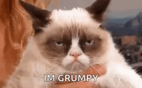 Grumpy Cat With Eyebags GIF