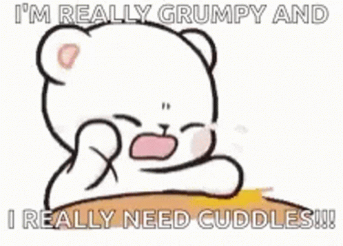 Grumpy And Crying Cat GIF