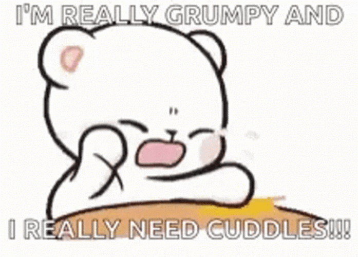 Grumpy And Crying Cat GIF